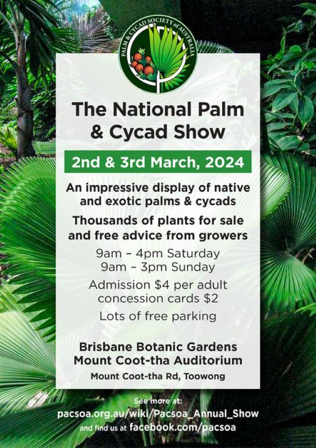 Brisbane's 2024 Palm & Cycad Show